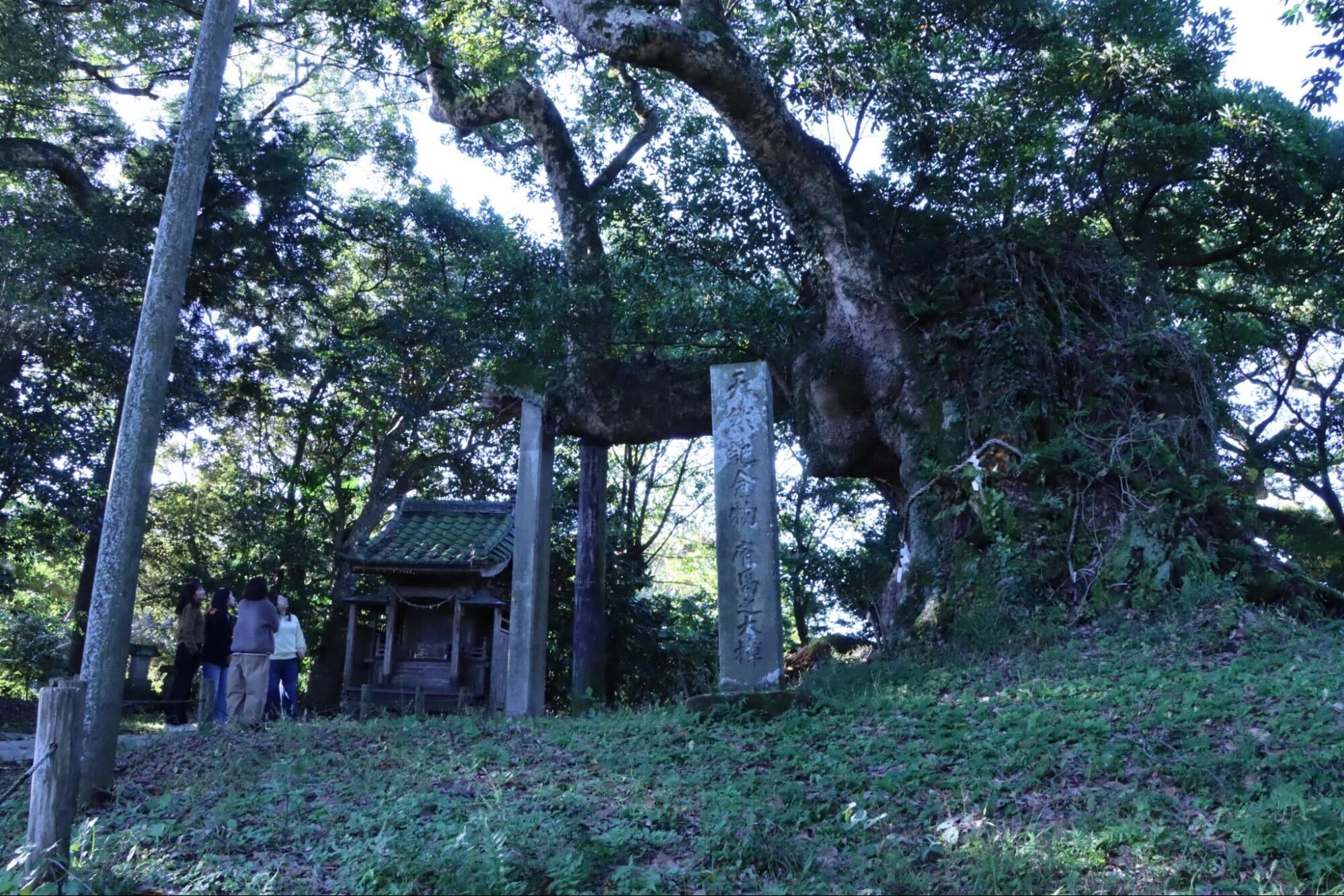 スローシティプロジェクト2025年11月第1回活動報告