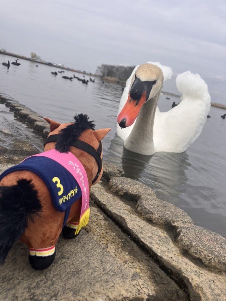 日常の切り取り 〜私が感じる佐原の癒し〜の画像