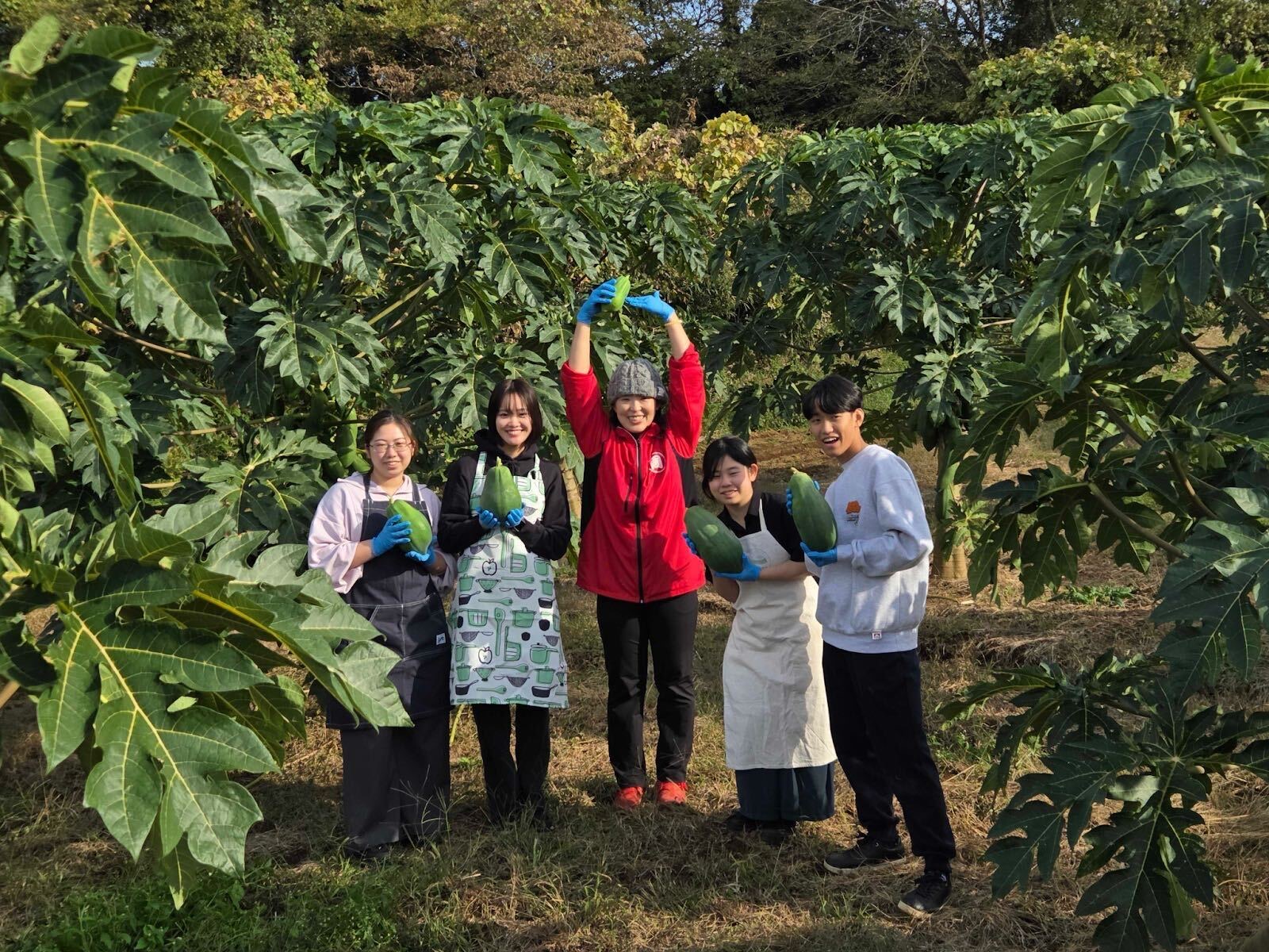 スローシティプロジェクト2025年11月第2回活動報告