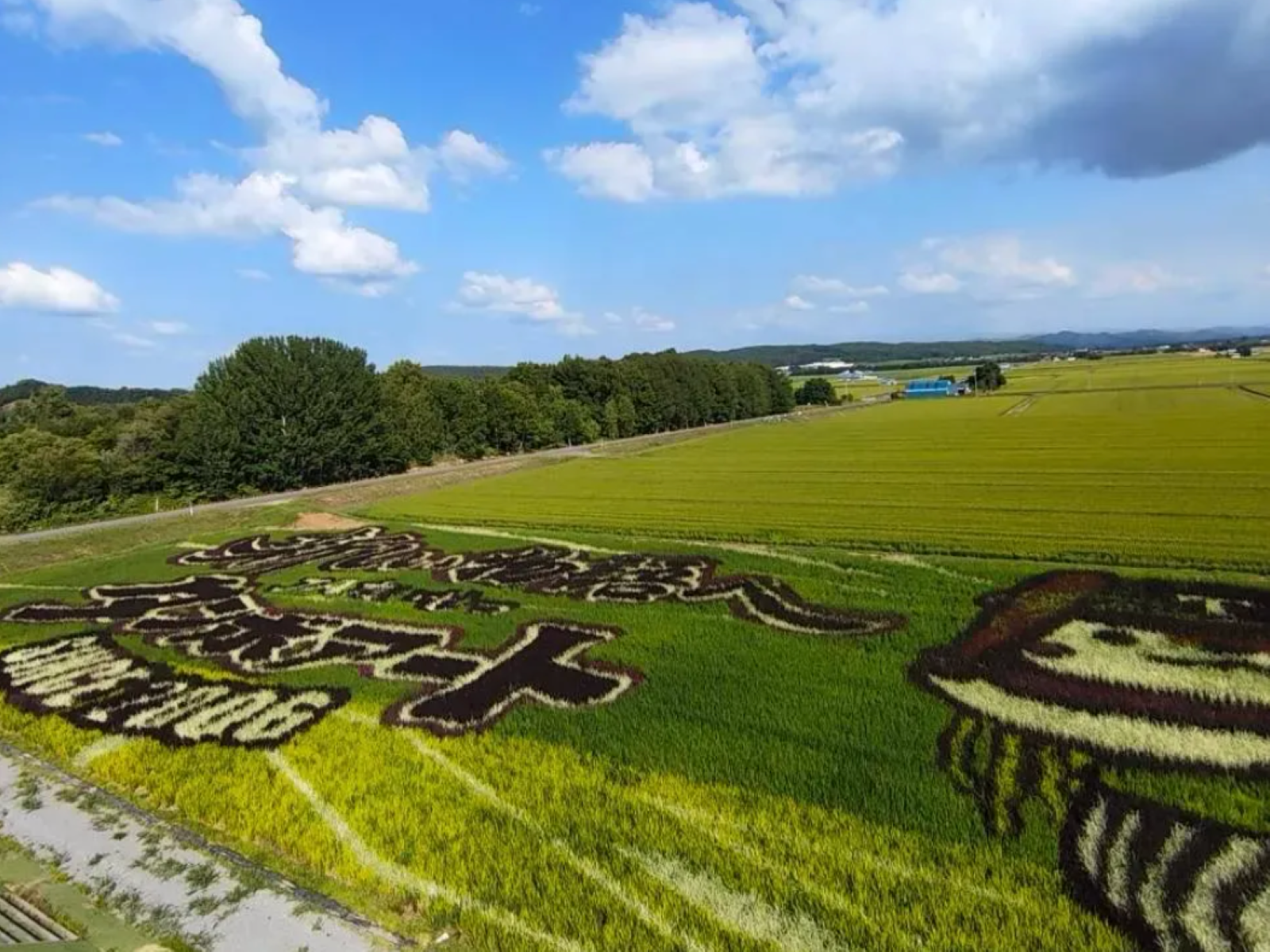 鷹栖町元気プロジェクト2026年7月の活動の様子